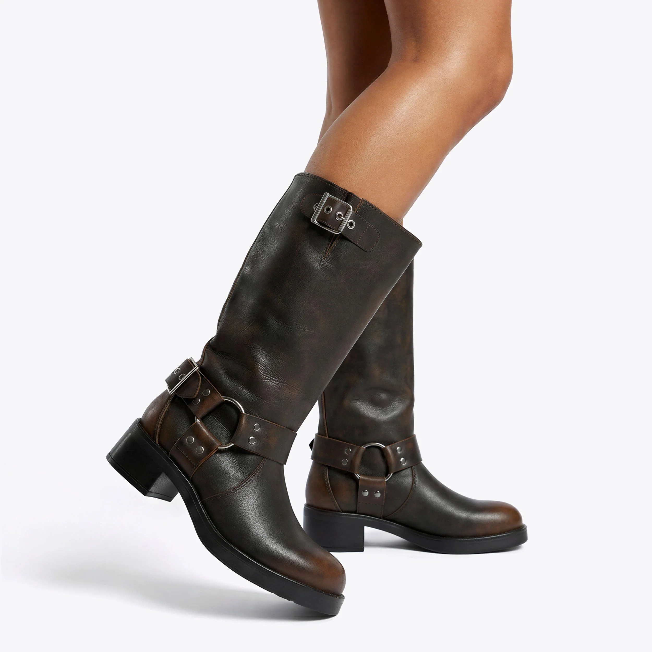 Beau Brown - Image 4